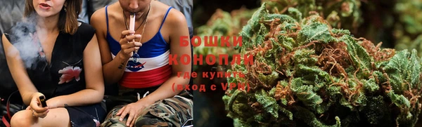 спайс Аша