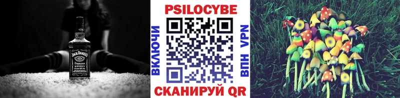 Псилоцибиновые грибы Cubensis  гидра tor  Липецк 